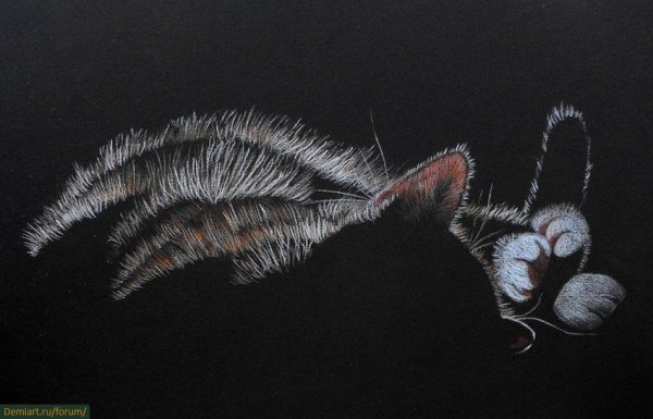 Рисование пастелью на черном фоне