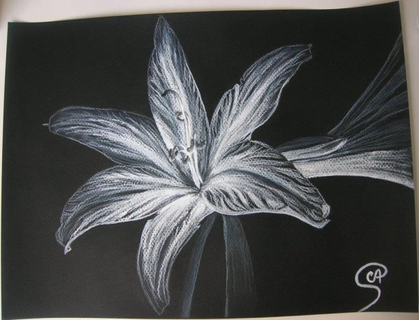 Рисование мелом на черной бумаге