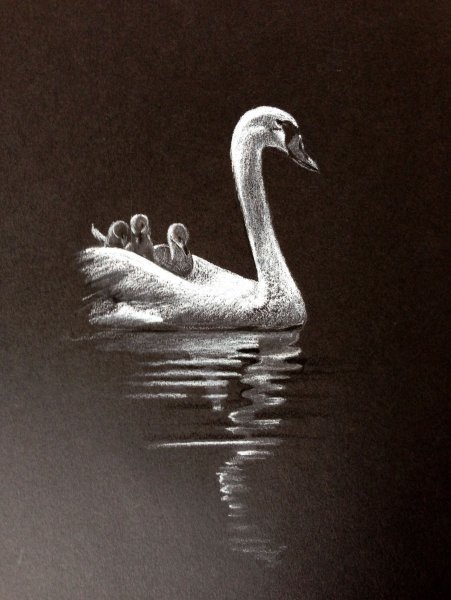 Рисование пастелью на черном фоне