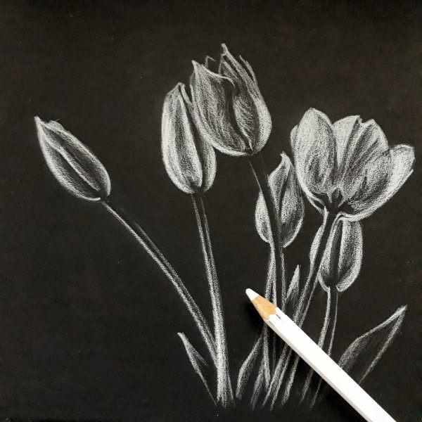 Цветы на черной бумаге