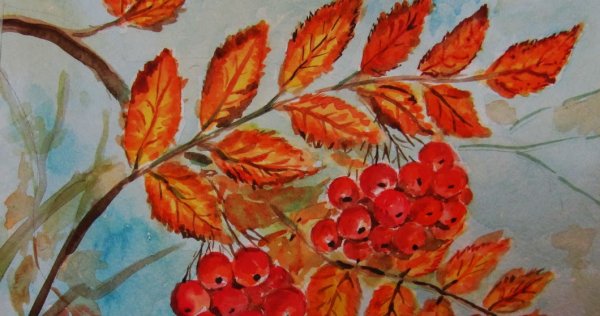 Ветка рябины» (рисование с натуры) (т.с.Комарова, стр.40)