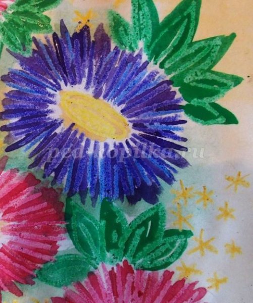 Герберы пастелью