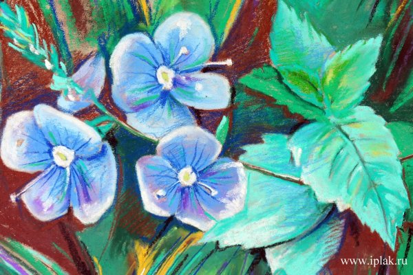 Рисунки пастелью