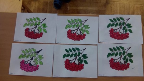 Кисть рябины рисование в средней группе