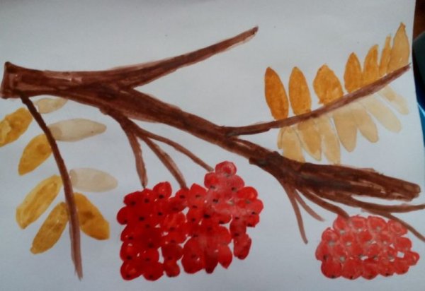 Ветка рябины» (рисование с натуры) (т.с.Комарова, стр.40)