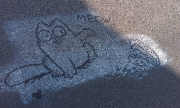 Кот мелом на асфальте