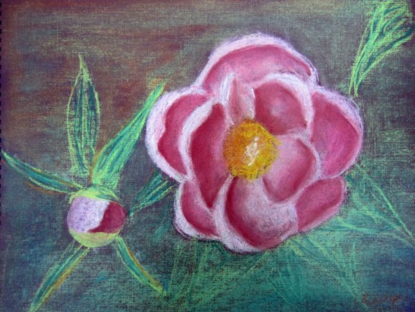 Рисование масляной пастелью