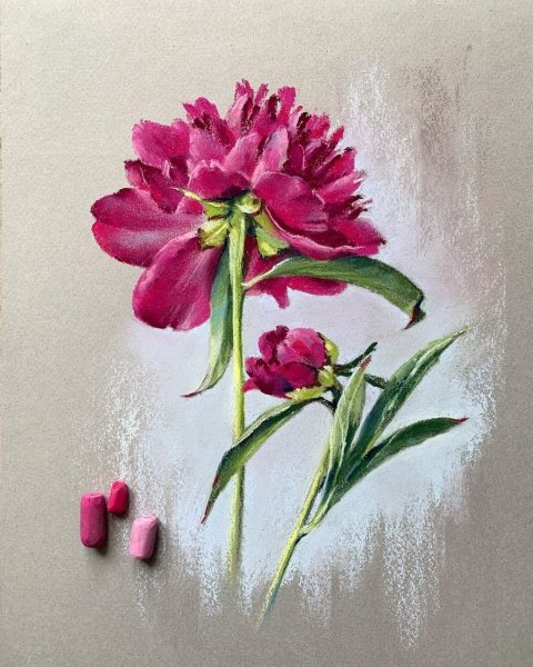 Елена таткина пастель