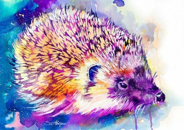 Ежик красками
