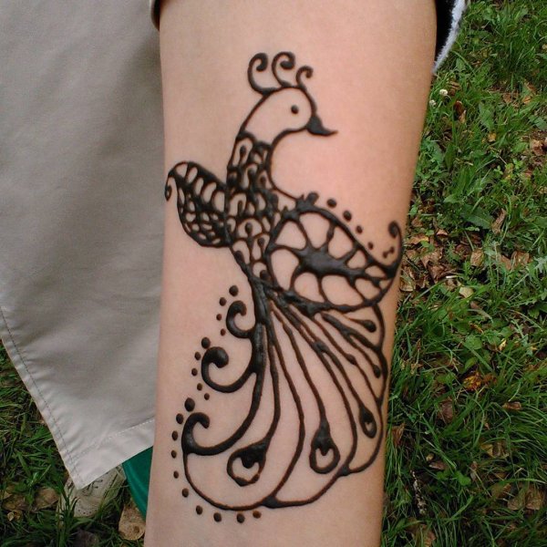 Рисунки хной животные