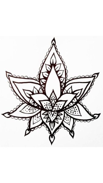Лотос хной эскиз