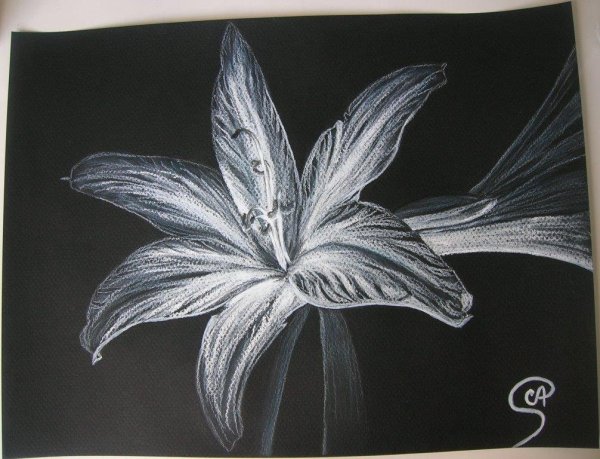 Рисование мелом на черной бумаге