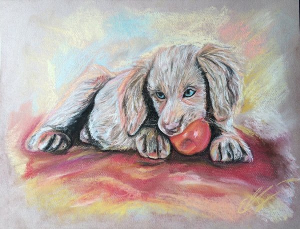 Рисование собаки пастелью
