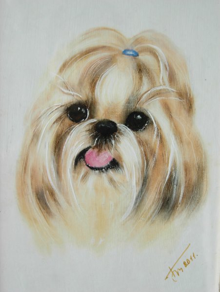 Шицу Йоркширский терьер