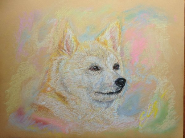 Собаки восковые мелки