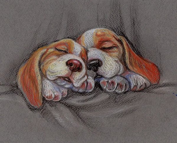 Щенок пастелью