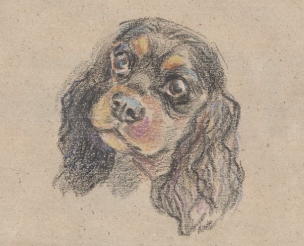 Рисунок на крафтовой бумаге собака