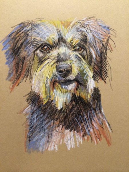 Щенок пастелью