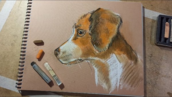 Собака пастелью сухой