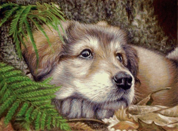 Картины с животными