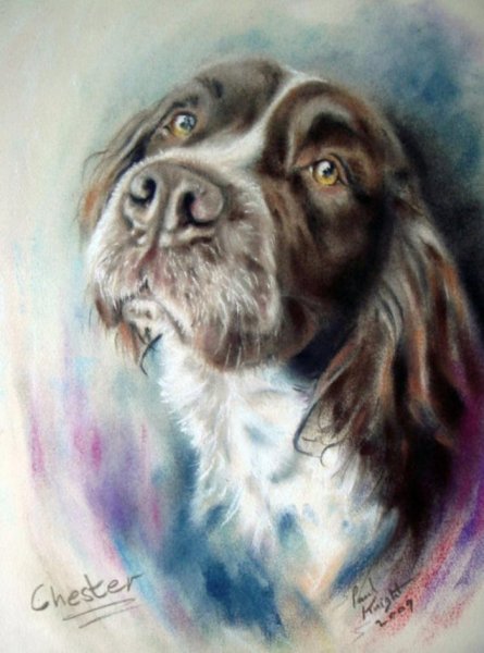 Пол Найт художник