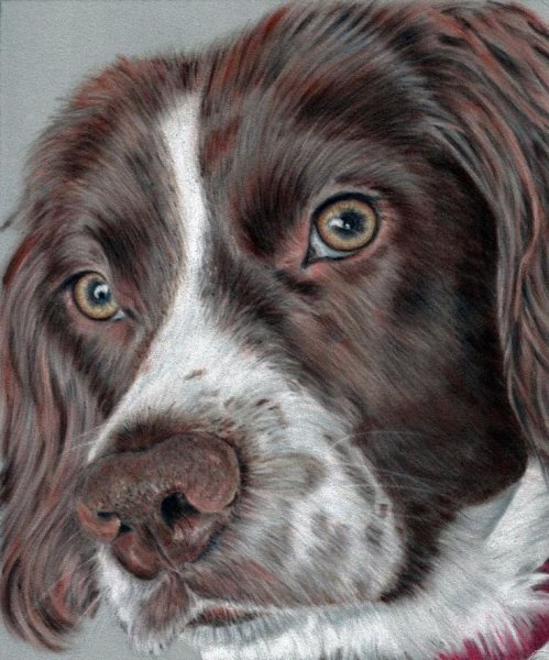 Собака масляной пастелью