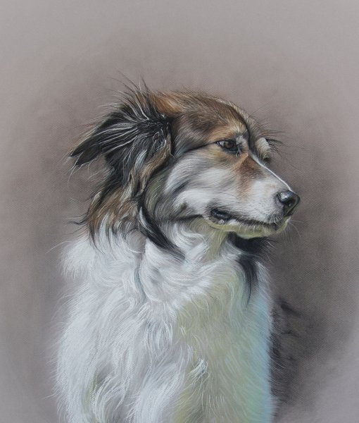 Животные пастелью