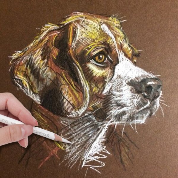 Собака пастелью