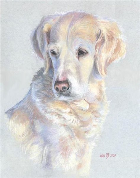 Собака пастелью