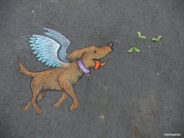 Собака мелом на асфальте