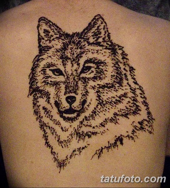 Трафарет для хны волк