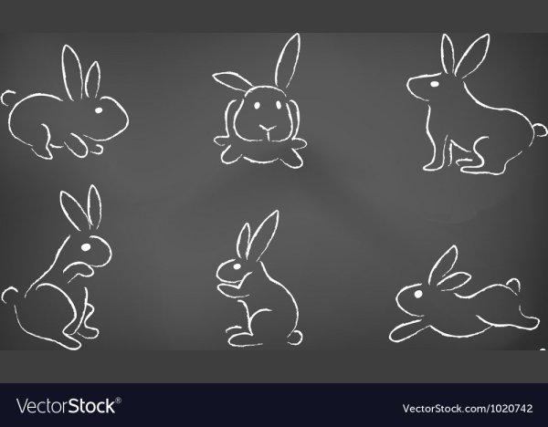 Кролик нарисованный мелом