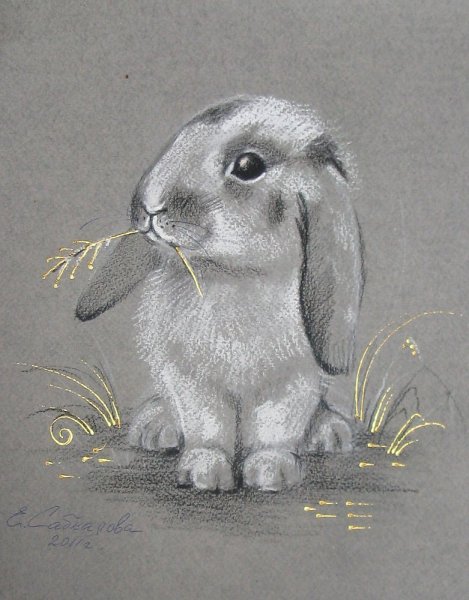 Заяц пастелью