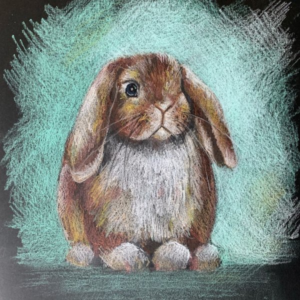 Кролик пастелью