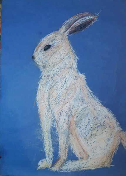Заяц нарисованный пастелью