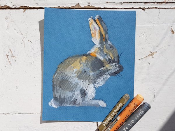 Заяц пастелью