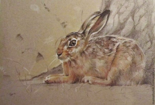 Анималистика Графика