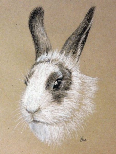 Кролик пастелью