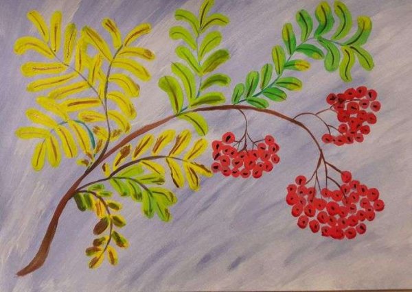 Ветка рябины рисование