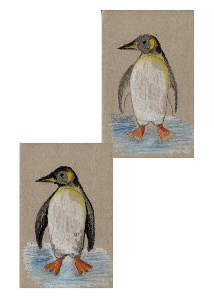 Пингвин масляной пастелью