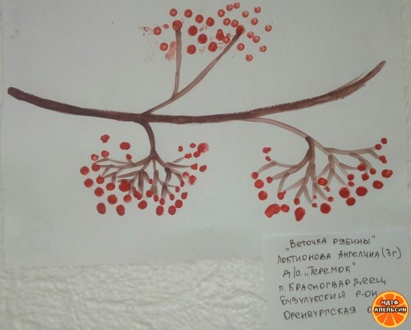 Ветка рябины» (рисование с натуры) (т.с.Комарова, стр.40)