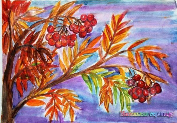 Рябина рисунок красками