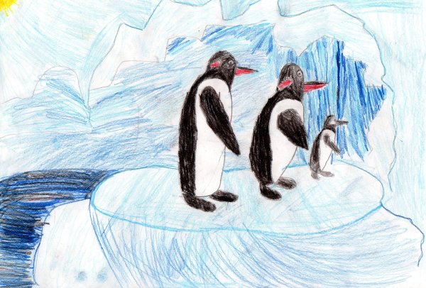 Семья пингвинов рисунок
