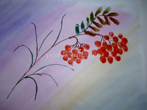 Рисование в подг гр ветка рябины