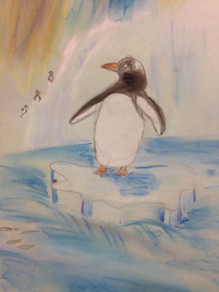 Пингвин портрет рисунок