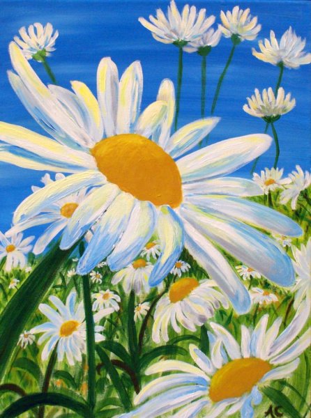 Ромашки нарисованные красками