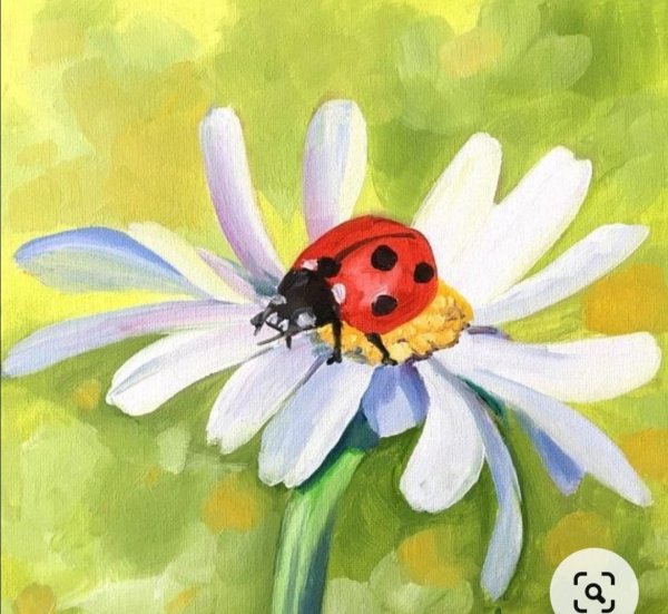 Ромашка рисование красками