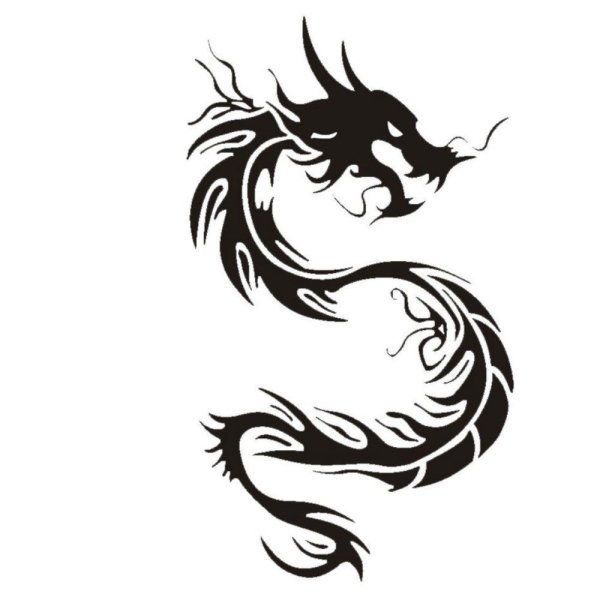 Китайский дракон тату эскизы трайбл