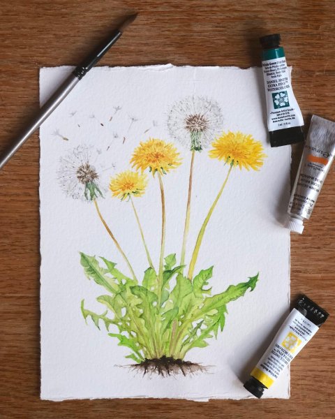 Одуванчик красками для деье