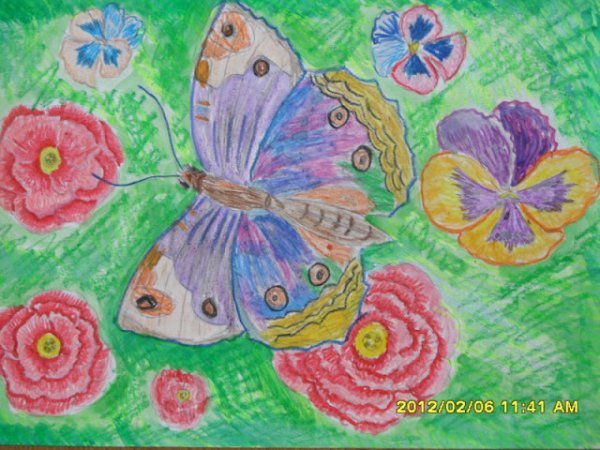 Рисование бабочка в подготовительной группе